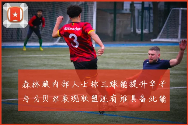 森林狼内部人士称三球能提升华子与戈贝尔表现联盟还有谁具备此能力