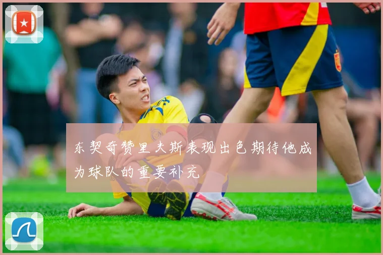 东契奇赞里夫斯表现出色期待他成为球队的重要补充